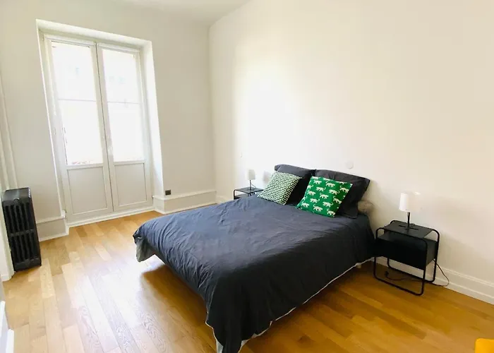 Stanislas Apartment, 8 People, Private Parking Colmar